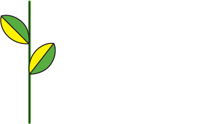 Johan Nouws, Beworteld stek